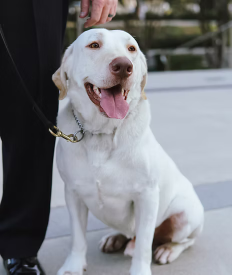 Cooper