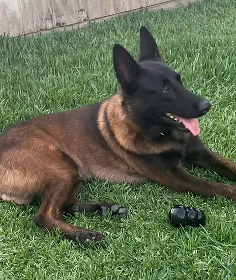 Jax
